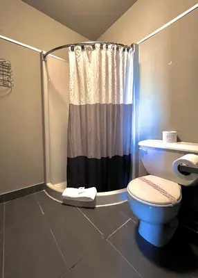 a bathroom with a toilet and a shower at Hotel L'Express in Longueuil
