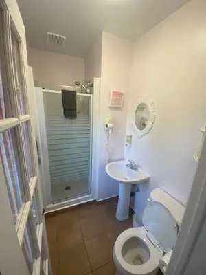 a bathroom with a shower and a toilet and a sink at À Tout Venant B&B in Magog-Orford
