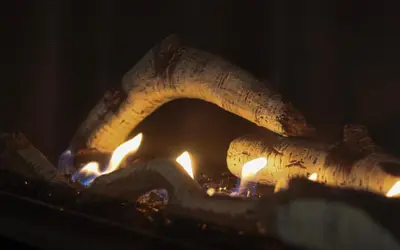 a bunch of bananas in a fire oven at Ripplecove Hotel & Spa in Ayer's Cliff