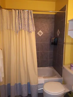 a bathroom with a shower curtain and a toilet at Hotellerie Jardins de Ville in Sherbrooke