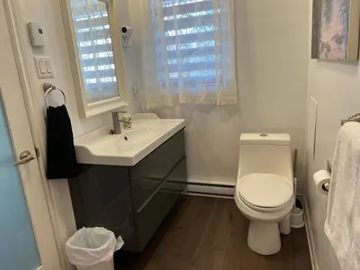 a bathroom with a white toilet and a sink at Le 2316 in Saint-Hyacinthe