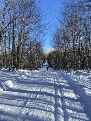 a person is skiing down a snow covered road at La Maison Jaune D'Eastman in Eastman