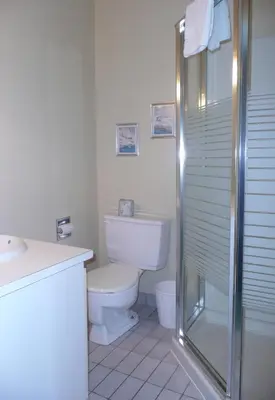 a white bathroom with a toilet and a shower at Motel Marie-Dan in Sainte-Eulalie