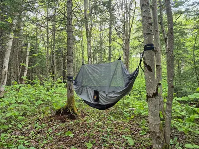a hammock hanging from a tree in the woods at Chalets du Domaine - RUSTIQUE in Notre-Dame-Des-Bois
