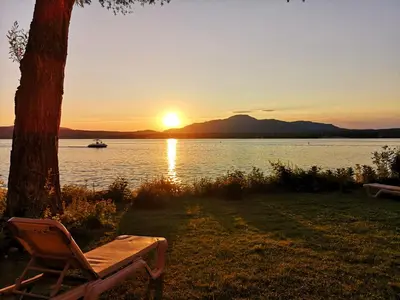 a chair sitting under a tree next to a lake at Condo de L'Oberge in Magog-Orford