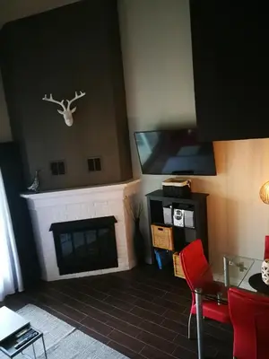 a living room with a fireplace and a flat screen tv at Condo de L'Oberge in Magog-Orford