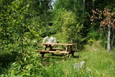 a picnic table in the middle of a field at Gite L'Antre d'Eux in Sherbrooke