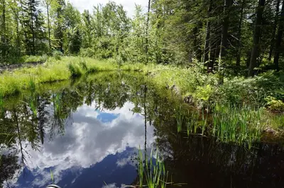 a reflection of the sky in a pond at Gite L'Antre d'Eux in Sherbrooke