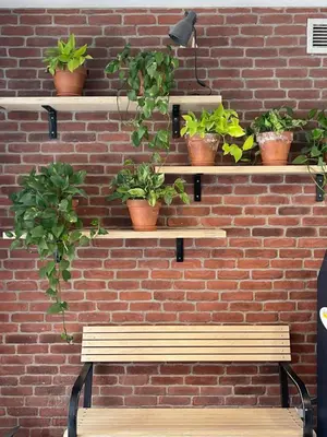 a brick wall with shelves with potted plants on it at Auberge Saintlo Montréal Hostel in Montréal