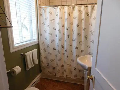 a bathroom with a shower curtain with a sink at Au Coeur De Magog in Magog-Orford