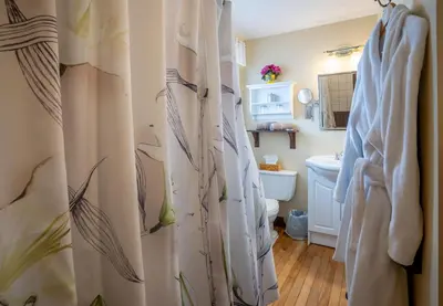 a bathroom with a shower curtain and a toilet at Au Coeur De Magog in Magog-Orford