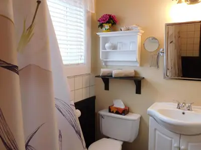 a bathroom with a toilet and a sink at Au Coeur De Magog in Magog-Orford