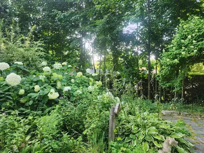 a garden with flowers and plants and a fence at Ô Bois Dormant B&B in Magog-Orford
