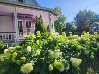 a garden of flowers in front of a house at Ô Bois Dormant B&B in Magog-Orford