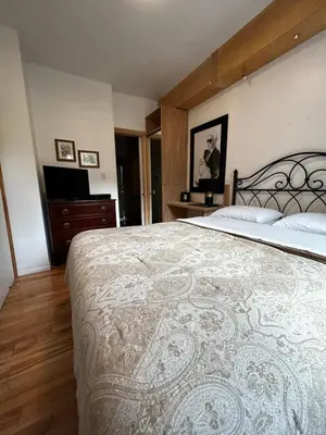 a bedroom with a large bed and a television at Gite Le Sieur de Joliette in Montréal