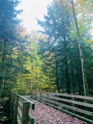 a wooden fence on a path in the woods at Au Gré Du Temps - Gîte B&B in Shefford