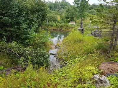 a stream of water in a field with trees at Chalet Milan in Milan