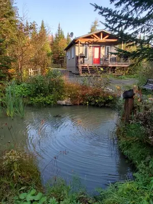 a house with a pond in front of it at Chalet Milan in Milan