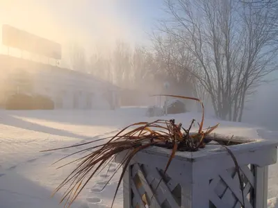 a plant in a concrete planter in the snow at Motel Belle Riviere in Saint-Jean-sur-Richelieu