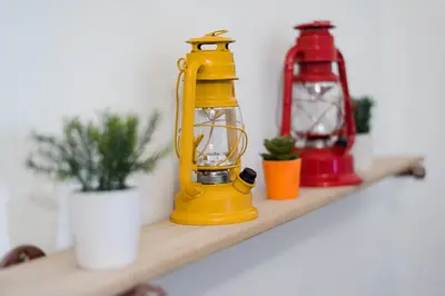 a yellow lantern sitting on a shelf with plants at Apartments Near Montreal Olympic Park in Montréal