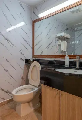a bathroom with a toilet and a sink at Hotel Cowansville in Cowansville