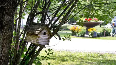 a bird house hanging from a tree in a park at Auberge Papillon Lune in Richmond