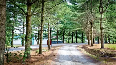 a dirt road with trees on both sides at Auberge Papillon Lune in Richmond