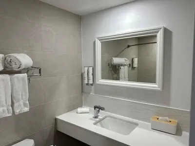 a bathroom with a sink and a mirror at Hotel Ruby Foo's in Montréal