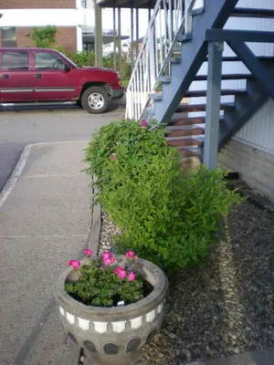 a flower pot with pink flowers in it next to stairs at Motel Seigneurie de Vaudreuil in Vaudreuil-Dorion