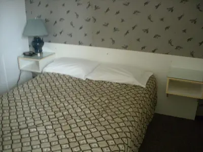a bedroom with a bed and a wall with birds on it at Motel le Verseau in Sorel