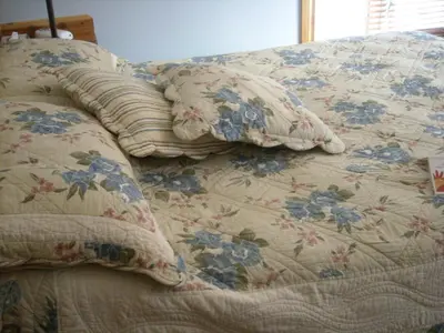 a bed with two pillows on top of it at Auberge Au Soleil Levant in Piopolis