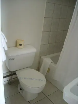 a bathroom with a toilet and a tub with a roll of toilet paper at Grand Motel Saint-Hubert in Longueuil