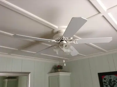 a ceiling fan with a skull on it on a ceiling at Le Gîte Du Coteau in Lyster