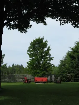 two park benches sitting in the grass near a fence at Le Gîte Du Coteau in Lyster