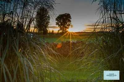 a sunset in a field with tall grass at Auberge Handfield et Spa in Saint-Marc-sur-Richelieu