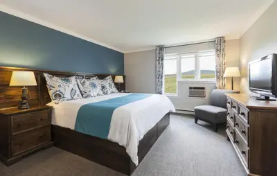 a bedroom with a bed and a television and a chair at Auberge West Brome in West Brome