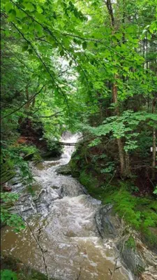 a stream of water in the middle of a forest at La Spacieuse Riverstone CITQ3O1849 in Saint Pierre de Broughton