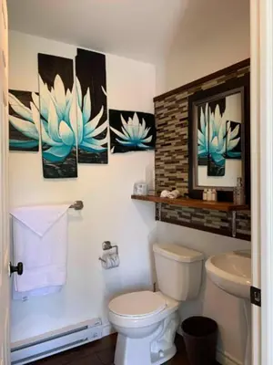 a bathroom with a toilet and paintings on the wall at La Spacieuse Riverstone CITQ3O1849 in Saint Pierre de Broughton
