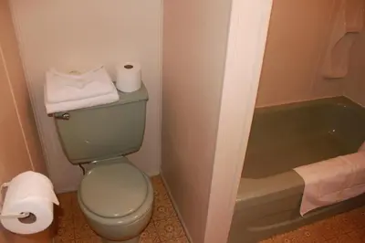 a bathroom with a toilet and a bath tub at Motel Boisé in Blainville