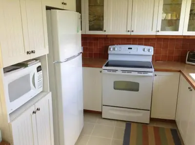 a kitchen with a white stove and a refrigerator at Gîte Au Blanc Marronnier in Racine
