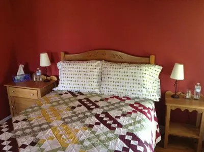 a bedroom with a bed with a quilt on it at Gîte Au Blanc Marronnier in Racine
