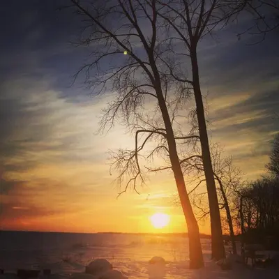 two trees with the sunset in the background at Chalets Multivoile 4 Saisons in Trois-Rivières