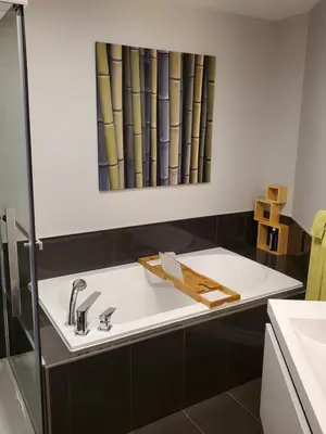 a bathroom with a sink and a mirror at Dans Les Bras de Memphré in Magog-Orford