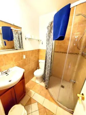a bathroom with a shower and a sink and a toilet at Maison Montplaisir in Montréal