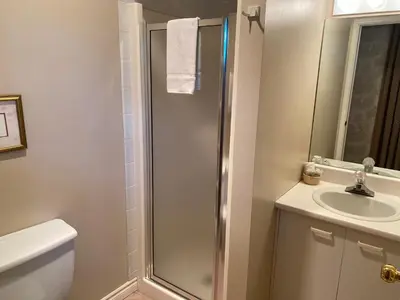 a bathroom with a shower and a sink at Auberge Le Tricorne in North Hatley