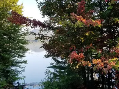a view of the water through the trees at La Parade du Huard - Lac et Spa in Saint Sebastien