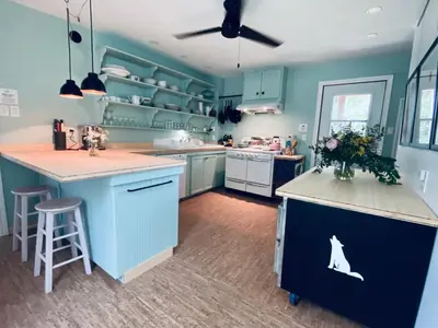 a kitchen with blue cabinets and a island with a dog on it at Au Loup, maison élégante in Waterloo