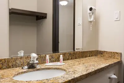 a bathroom with a sink and a large mirror at Days Inn by Wyndham Montreal Airport Conference Centre in Dorval