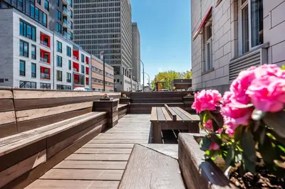 a row of benches in a city with pink flowers at Samesun Montreal Hotel & Hostel in Montréal