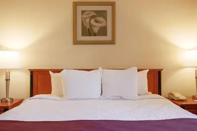 a bedroom with a bed with two lamps and a phone at Hotel St-Denis in Montréal